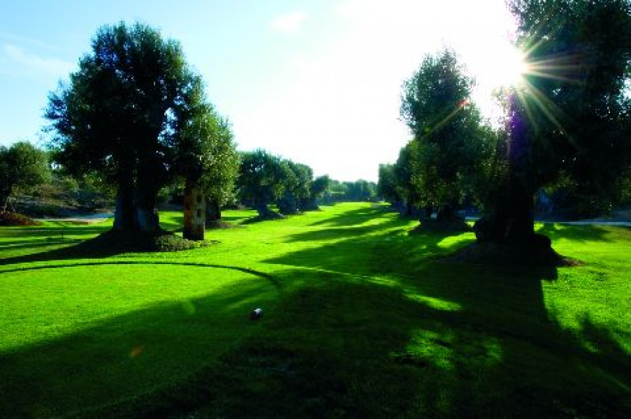 golf course9