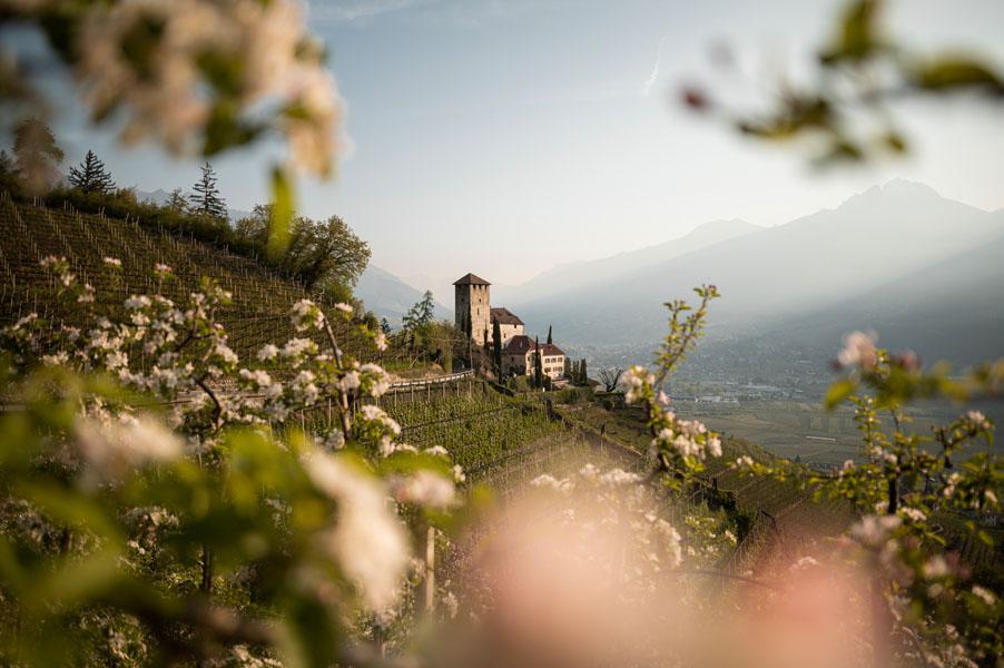 ©Belvita Hotel ALPIANA   green luxury Dolce Vita Hotel