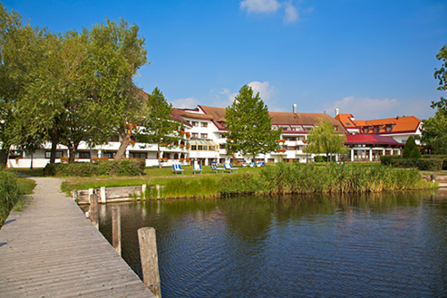 garten stegcgroce