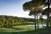 4. PGA Catalunya Resort Stadium Course Hole 11 Tree