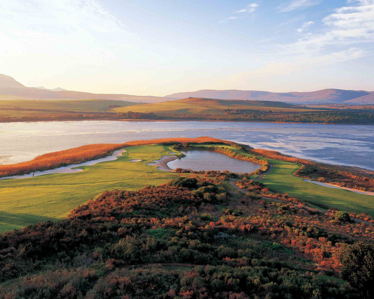 Arabella 8 9 close up