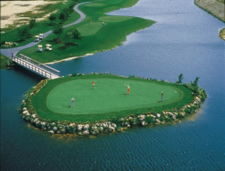 Silver Course high