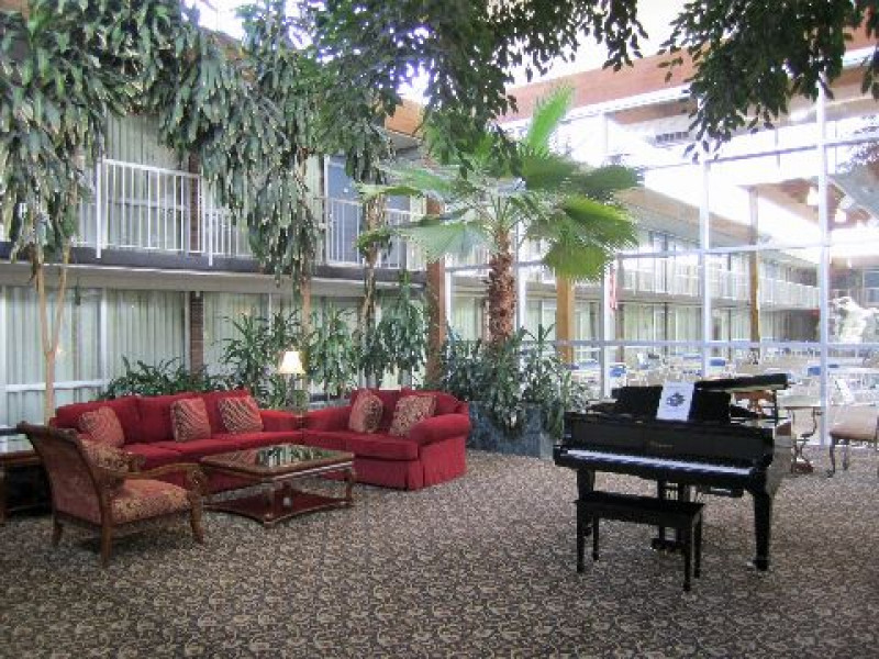 IMG 0111