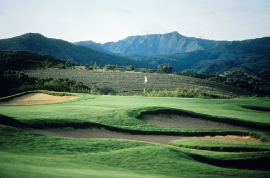 Plantation Course14