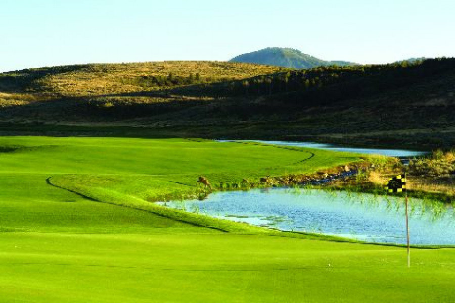 nicklaus hole 15