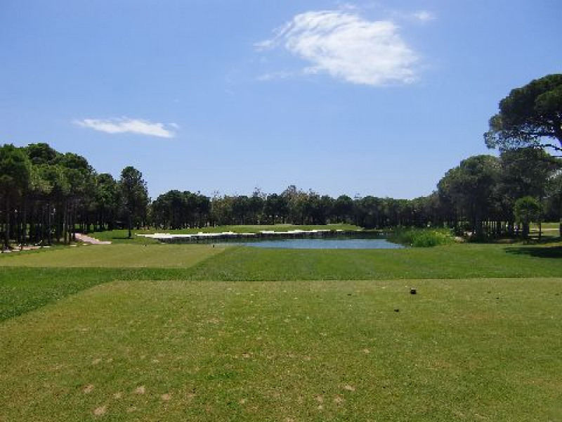 Montgomerie 5