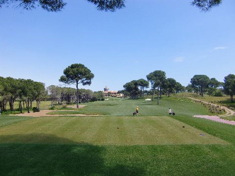 Montgomerie 6