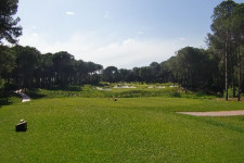 Carya 1