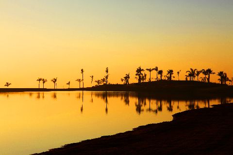 Allegria 2nd IMG 8039