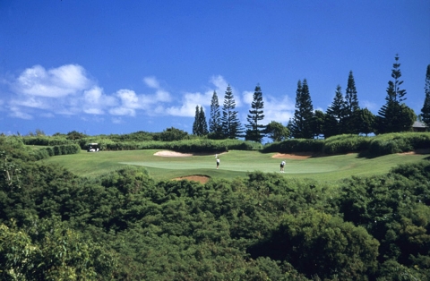 Plantation Course8