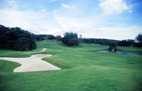 BUNGA RAYAHOLE 18PAR 5INDEX 4