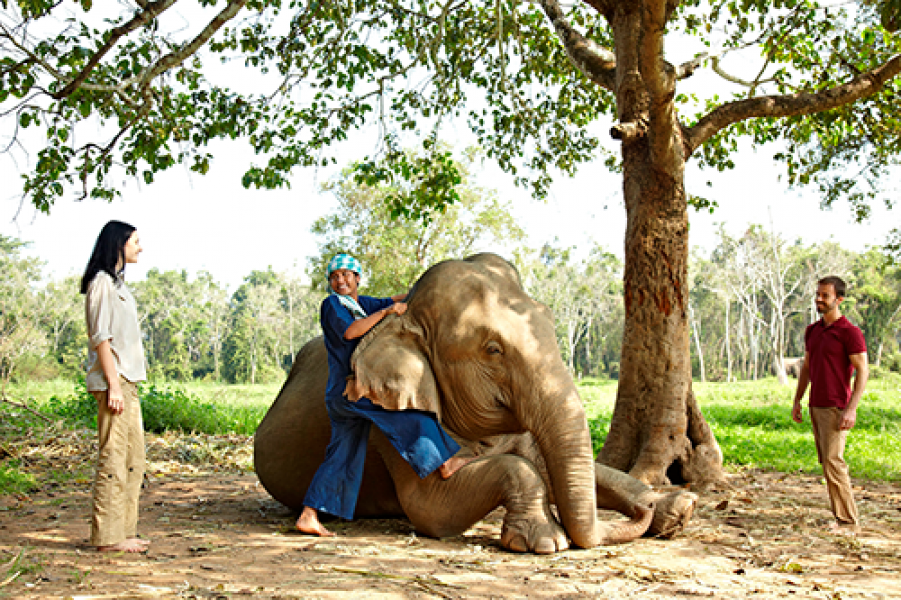Anantara Golden Triangle Elephant Camp Resort Spa Mahout Experience4