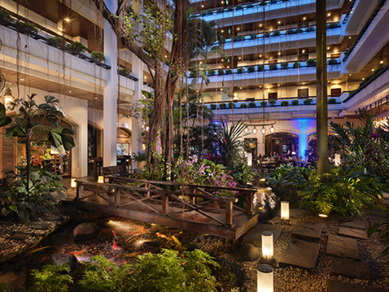 Courtyard Garden