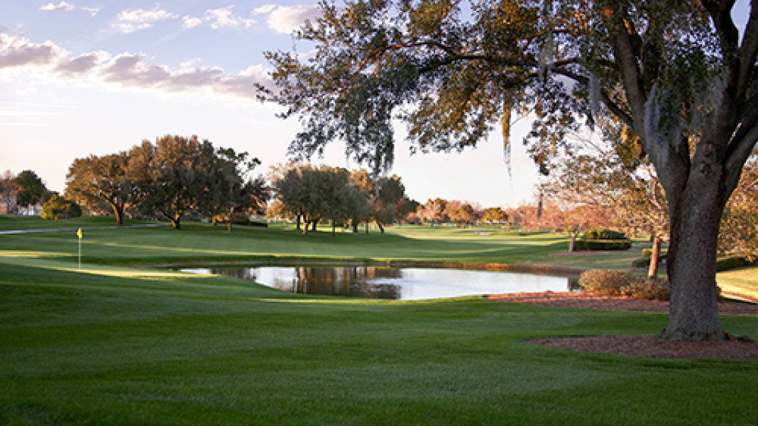 hole 08 img 9479