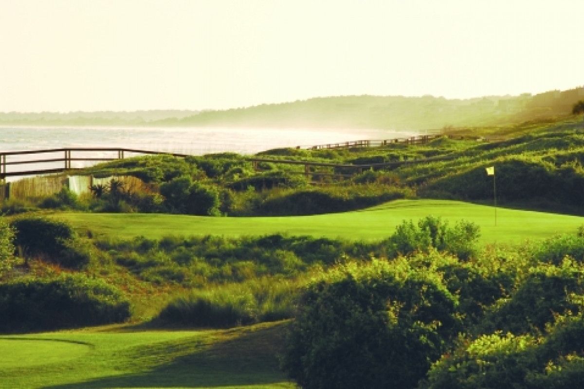 Turtle Point 16