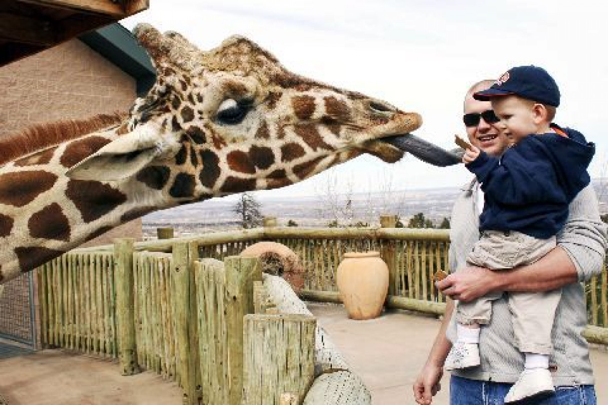 New giraffe photo