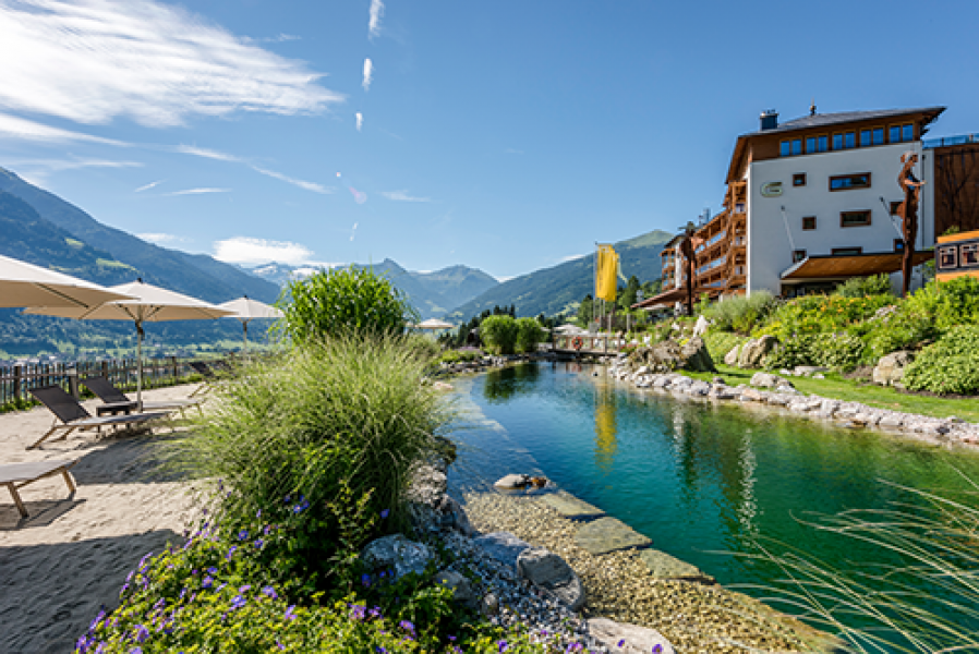 das goldberg 0717 8898