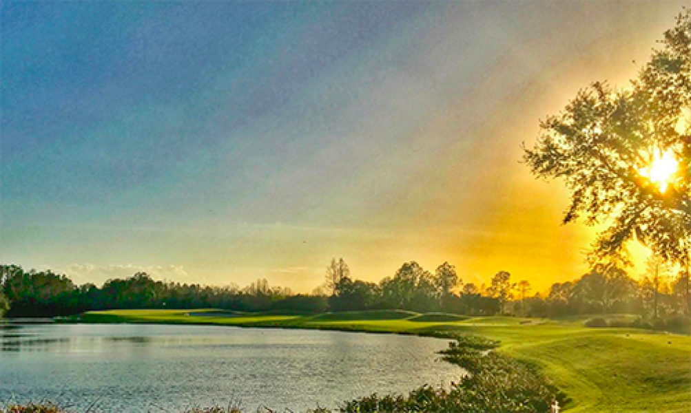 LPGA International