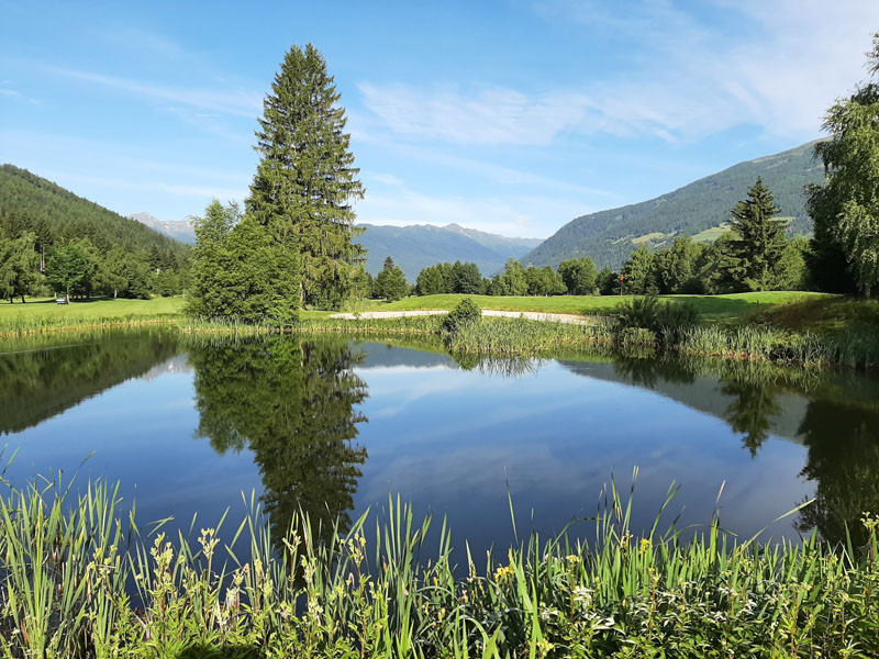 bild06