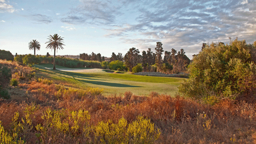 14555653940ca2ae9c86bo