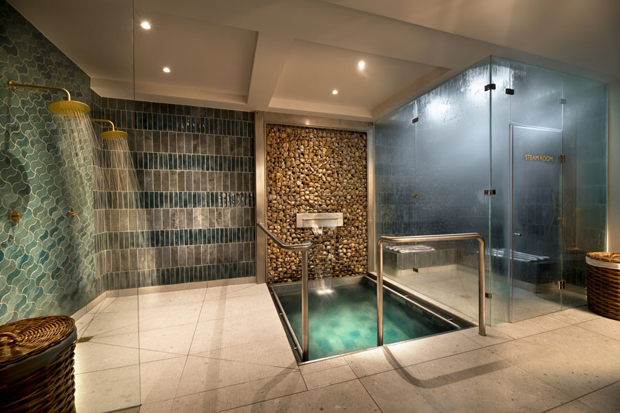 Steam Room & Plunge Pool
