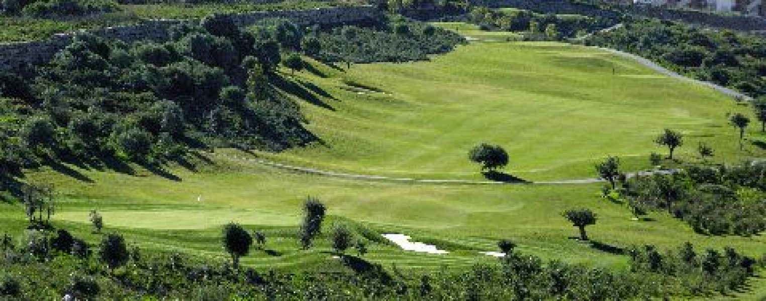 ALTA RESOLUCION FORDE 004