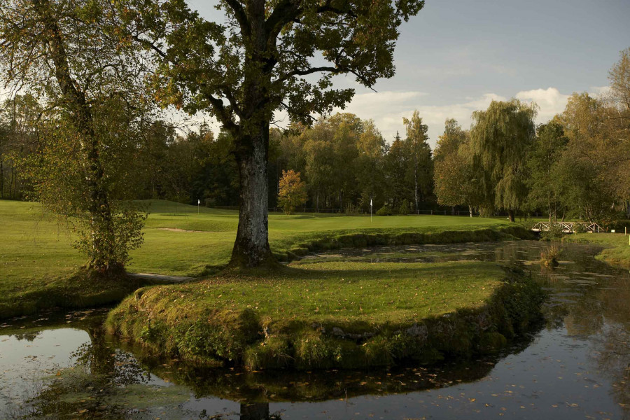 GUT ALTENTANN 1 008873