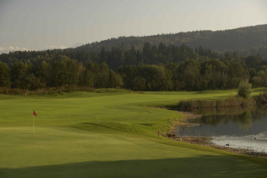 AUSTRIA BATCH 10 007081