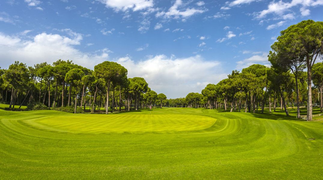 GloriaNewCourse19 GolfClub H