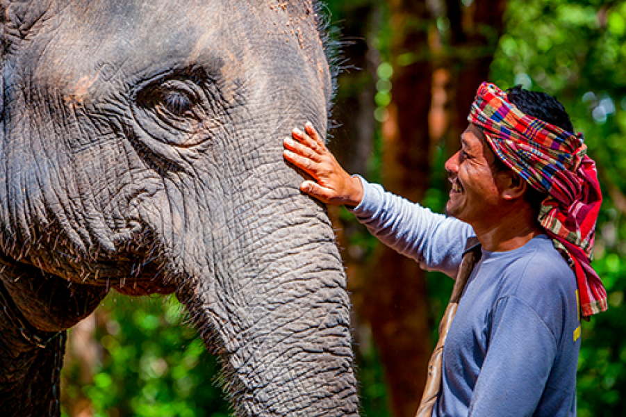 Surin Ban Ta Klang 0774BBP