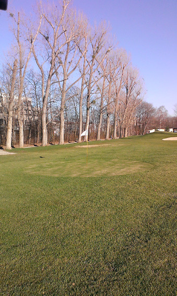 Bild 5 Golfartikel Wintergruens