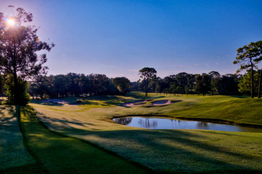 Copperhead 15
