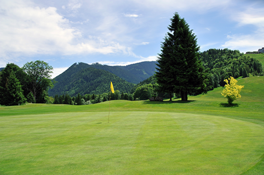 Bilder Fotografin 2012 025