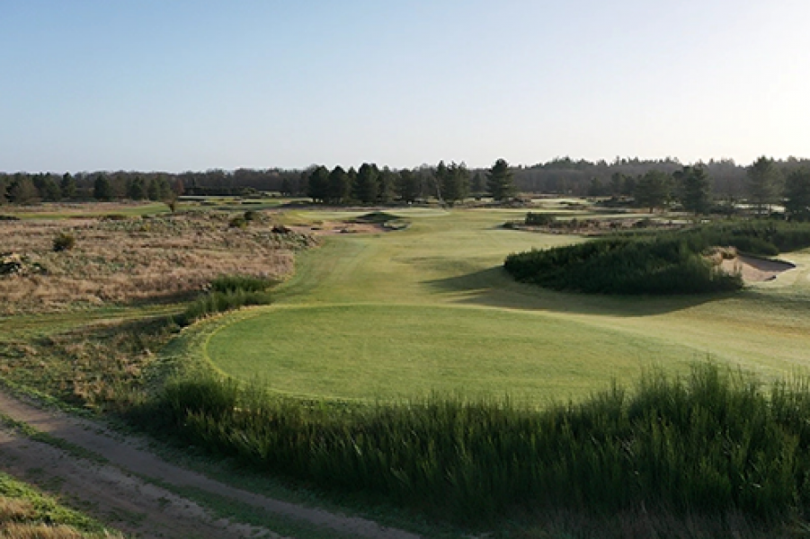 wild piglet 1 51024484338 o