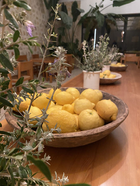 Zitronen direkt vom Baum