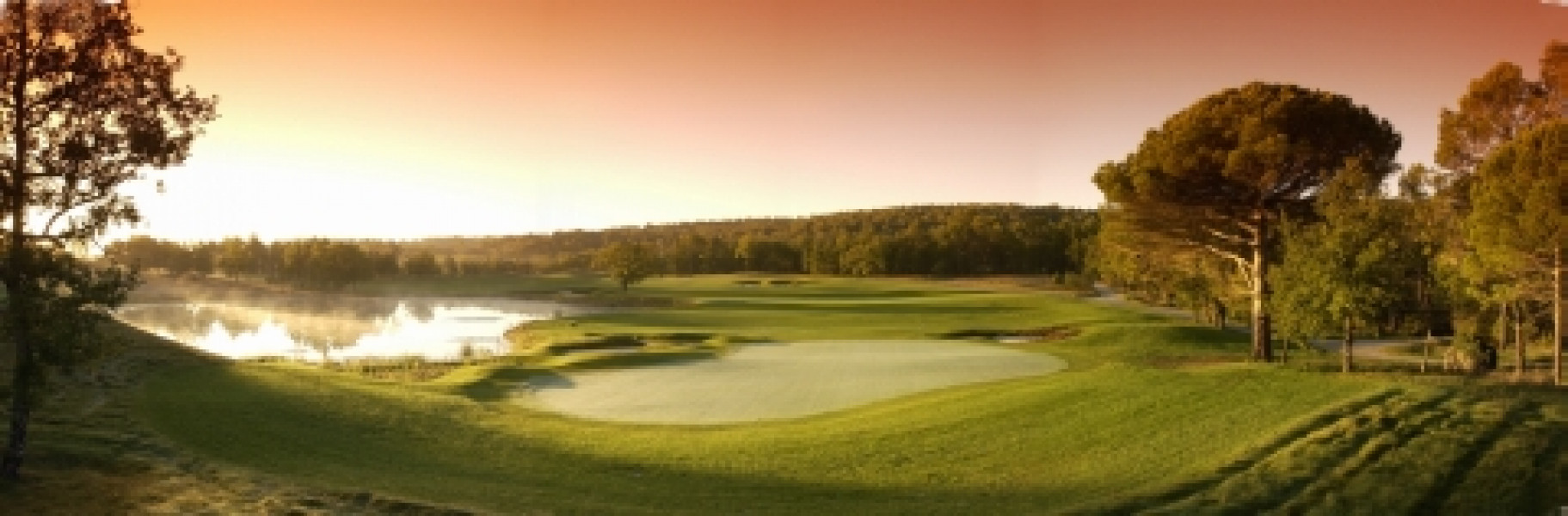 tblanche1 10th 843339