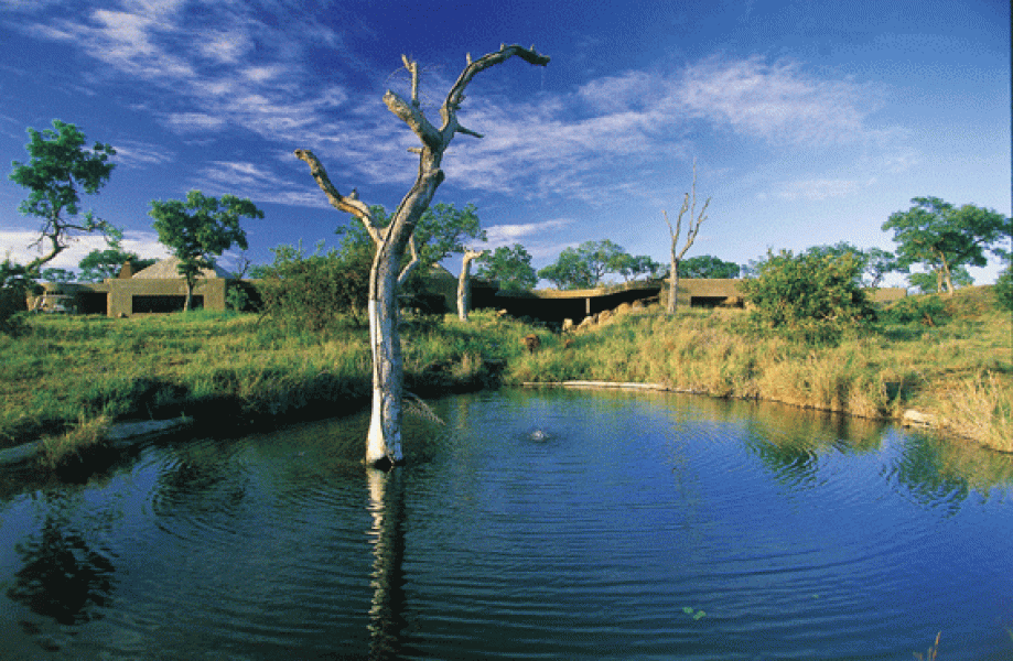 Sabi Earth Lodge View from Waterhole