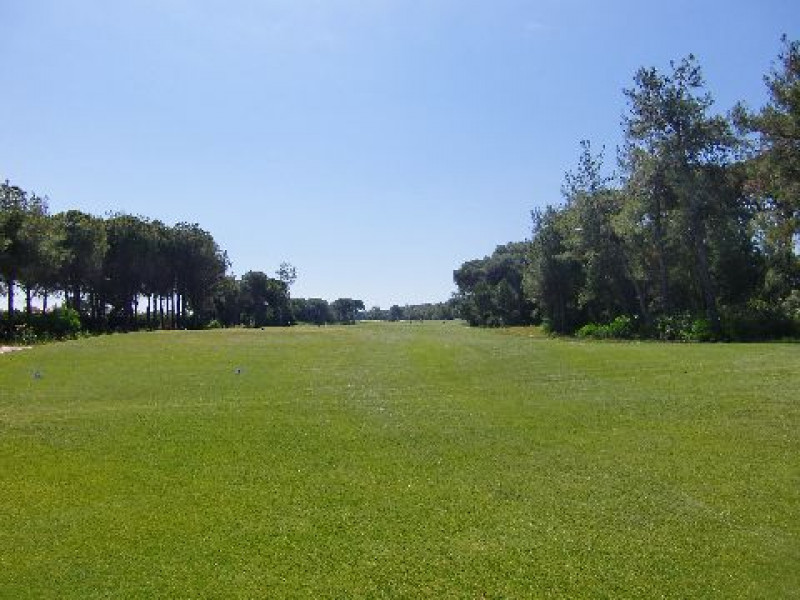 Montgomerie 1