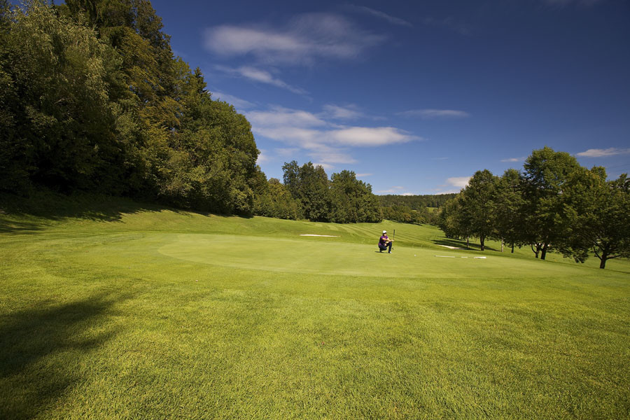 Grün 13 Steint 2011 09 06 157 Kopie