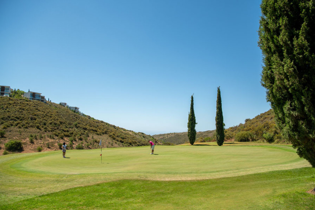 Minthis new 14th green