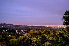 Constantia 36 Price Custom2